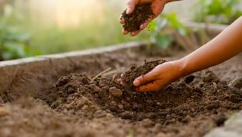 Dirt in both hands