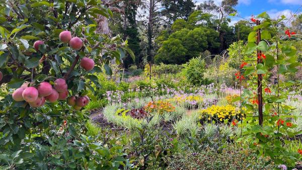 Flower garden
