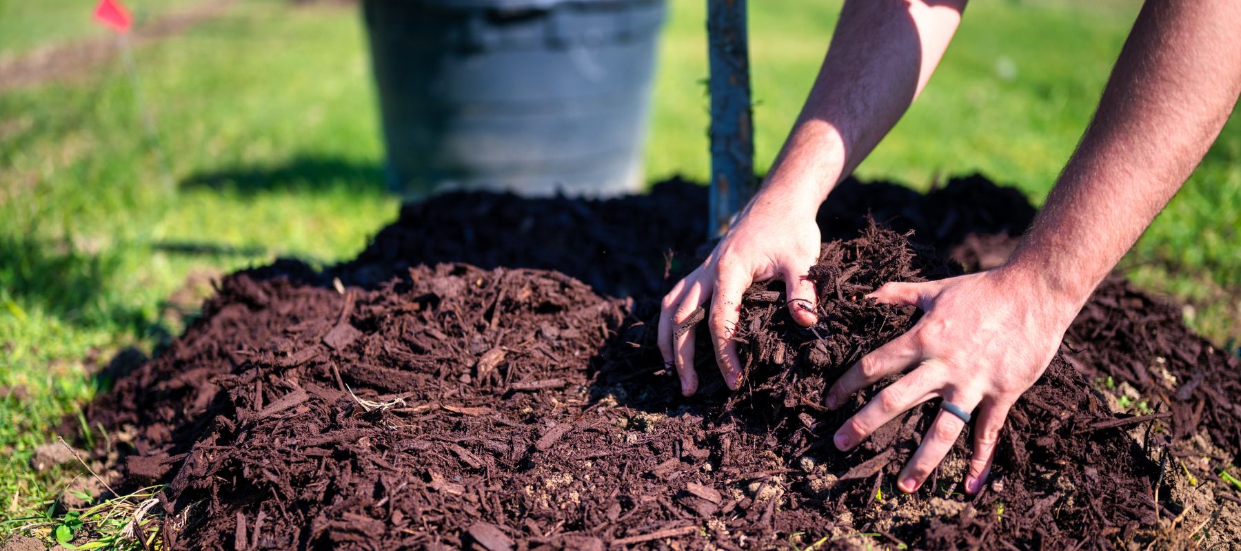Hands in mulch
