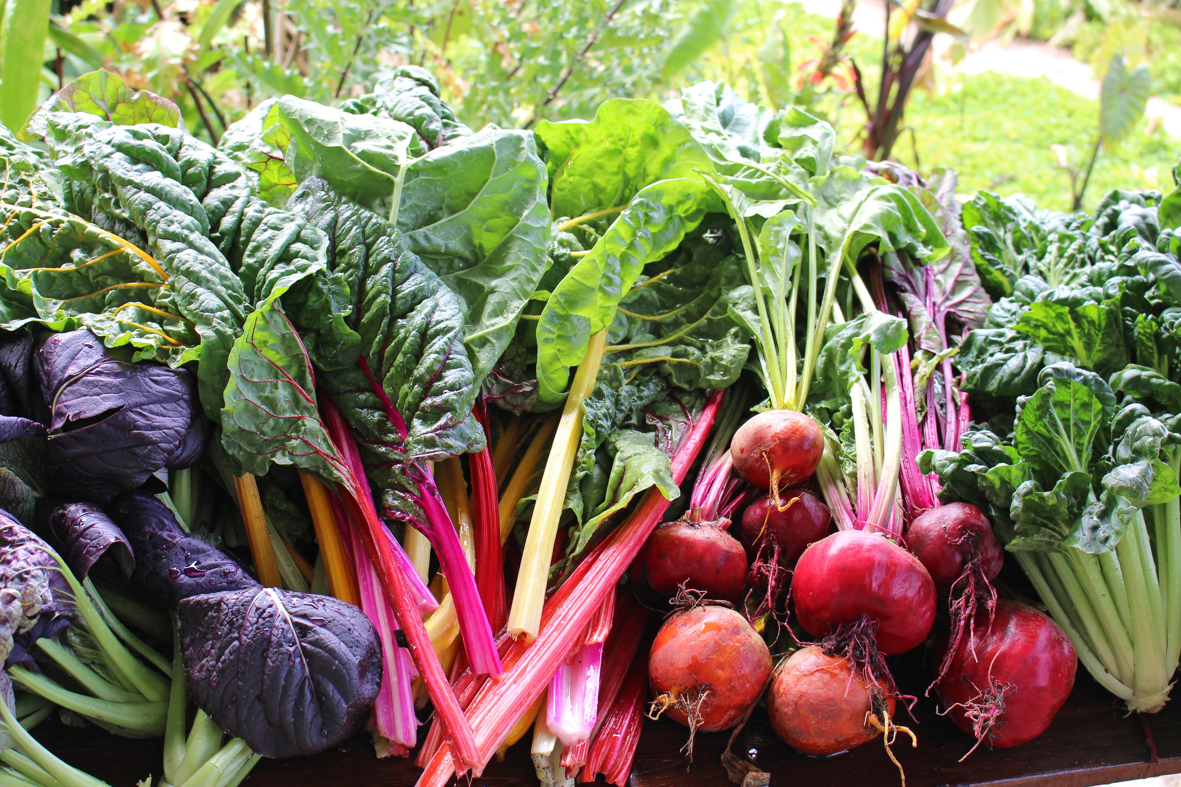 A collection of fresh produce