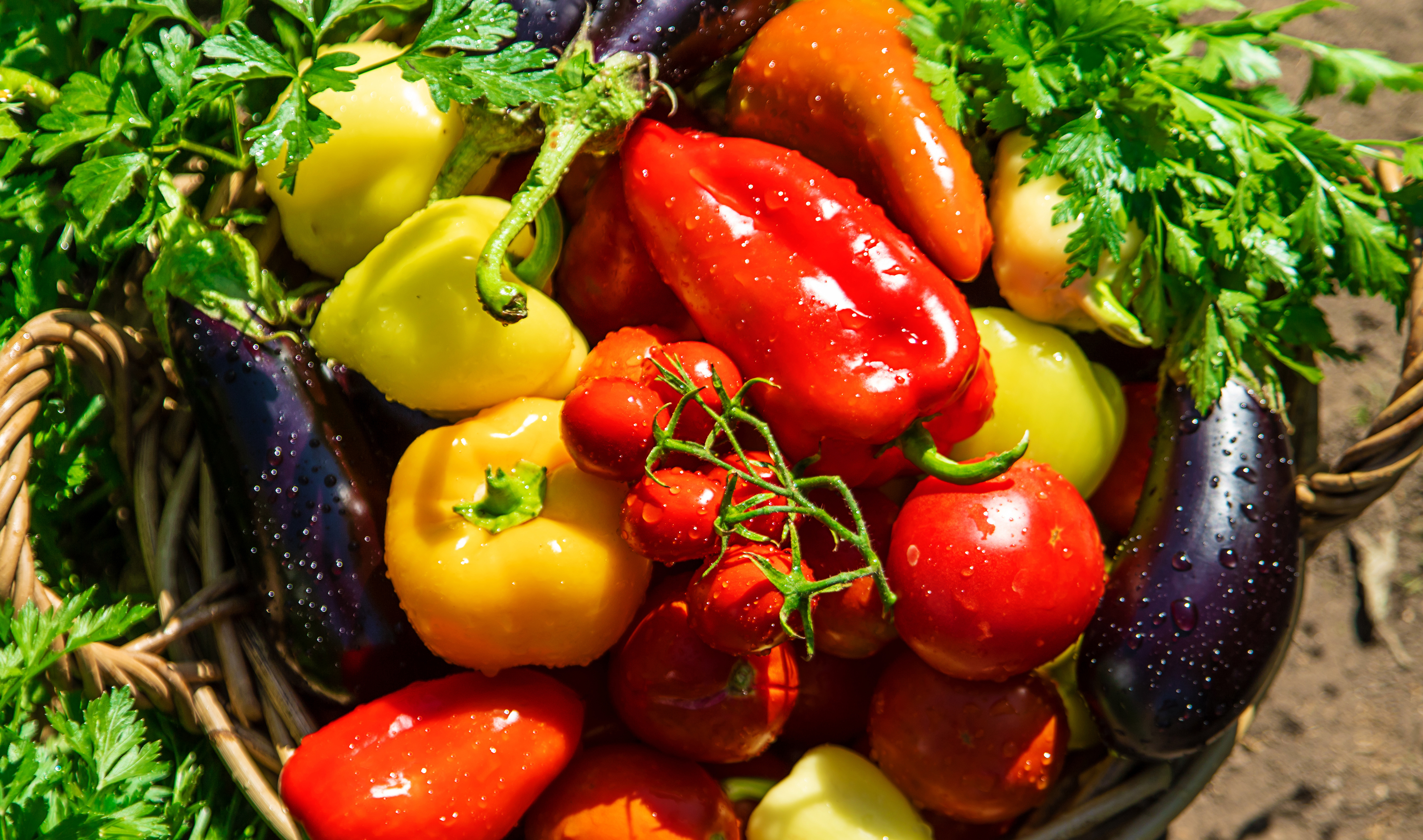 A pile of eggplants, capsicums and tomatoes