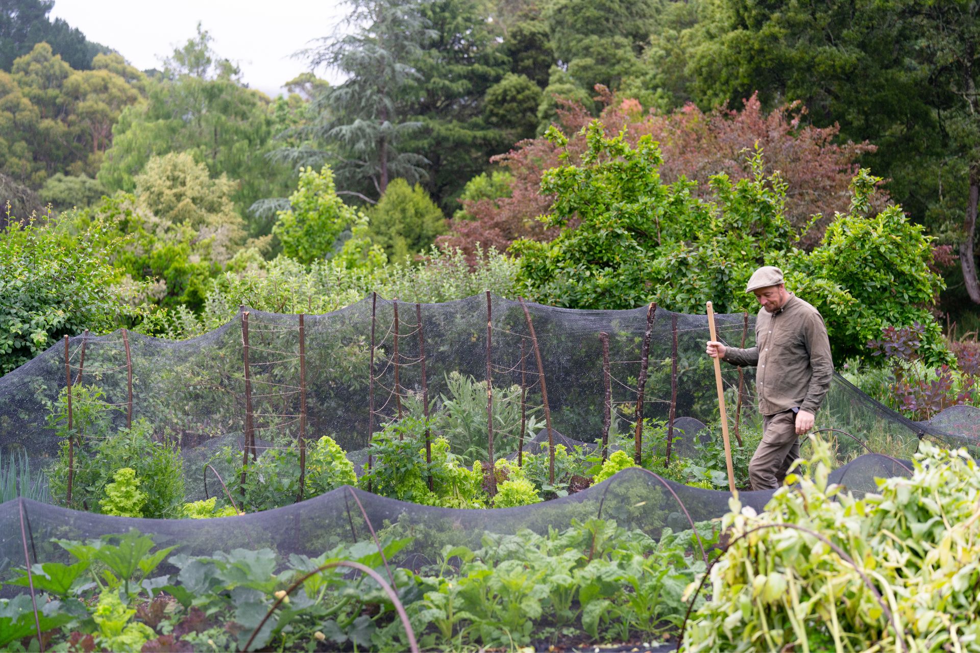 Julian walks through the Garden of St Erth