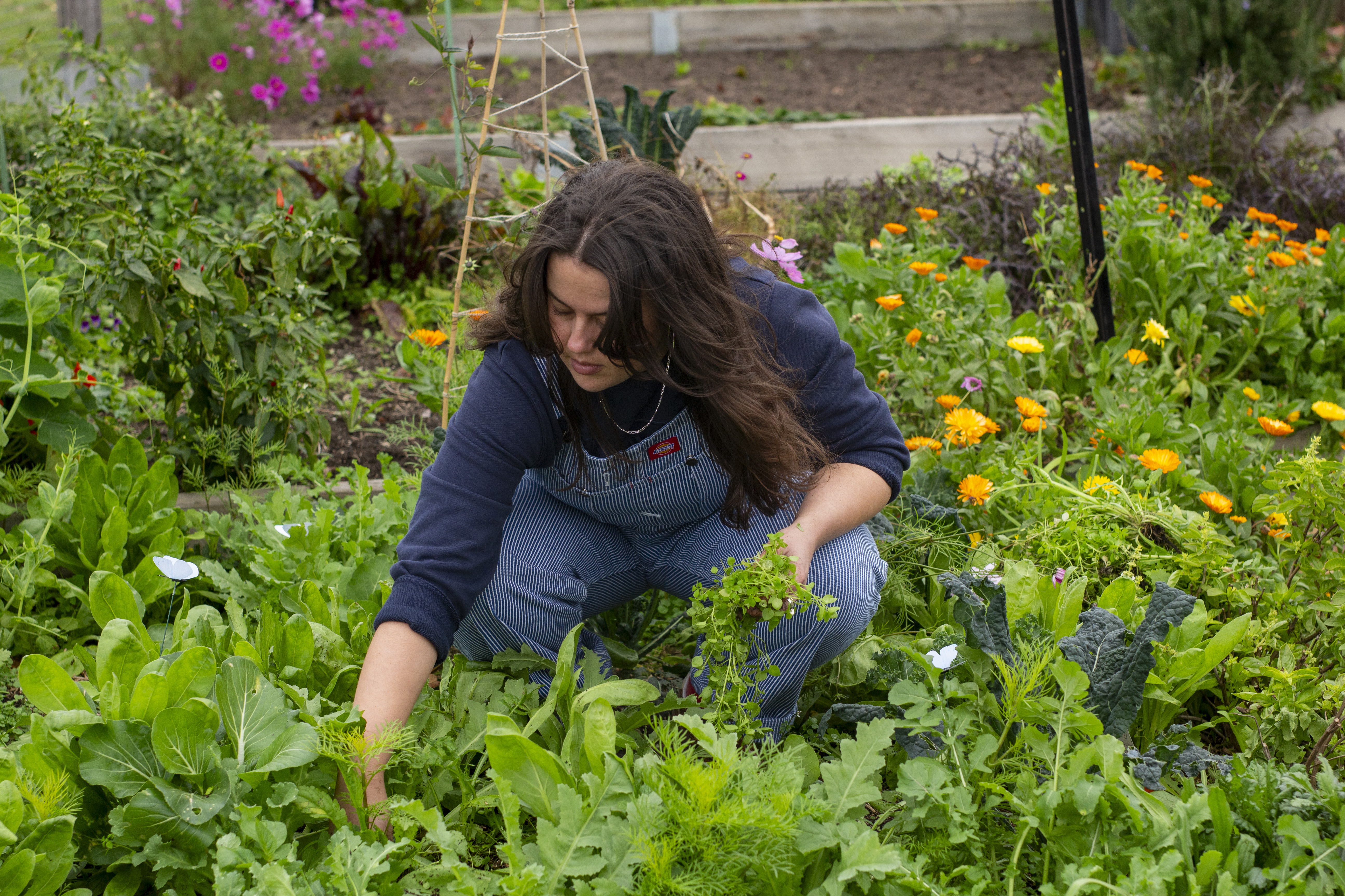 Hannah in the garden