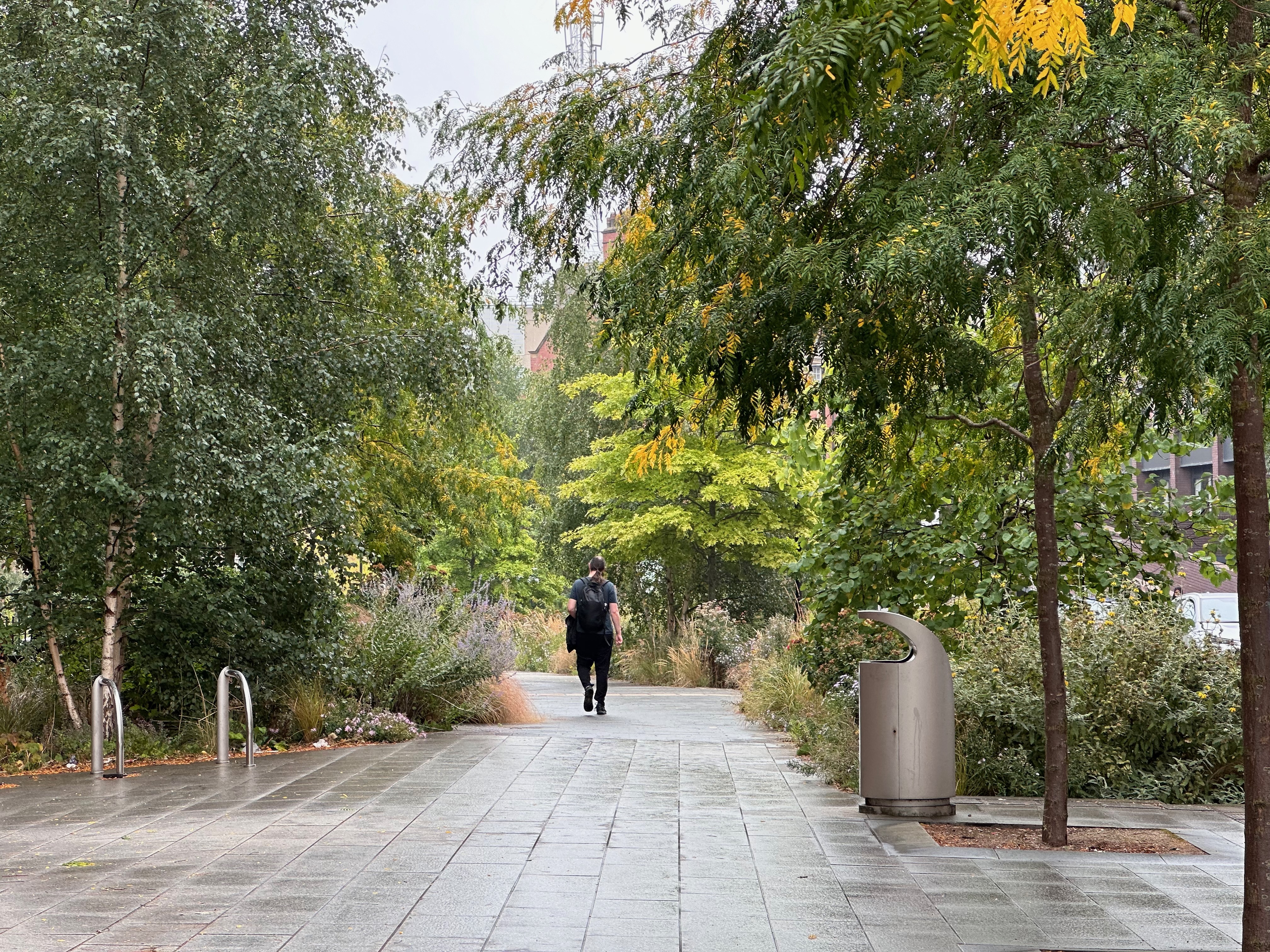 A city garden