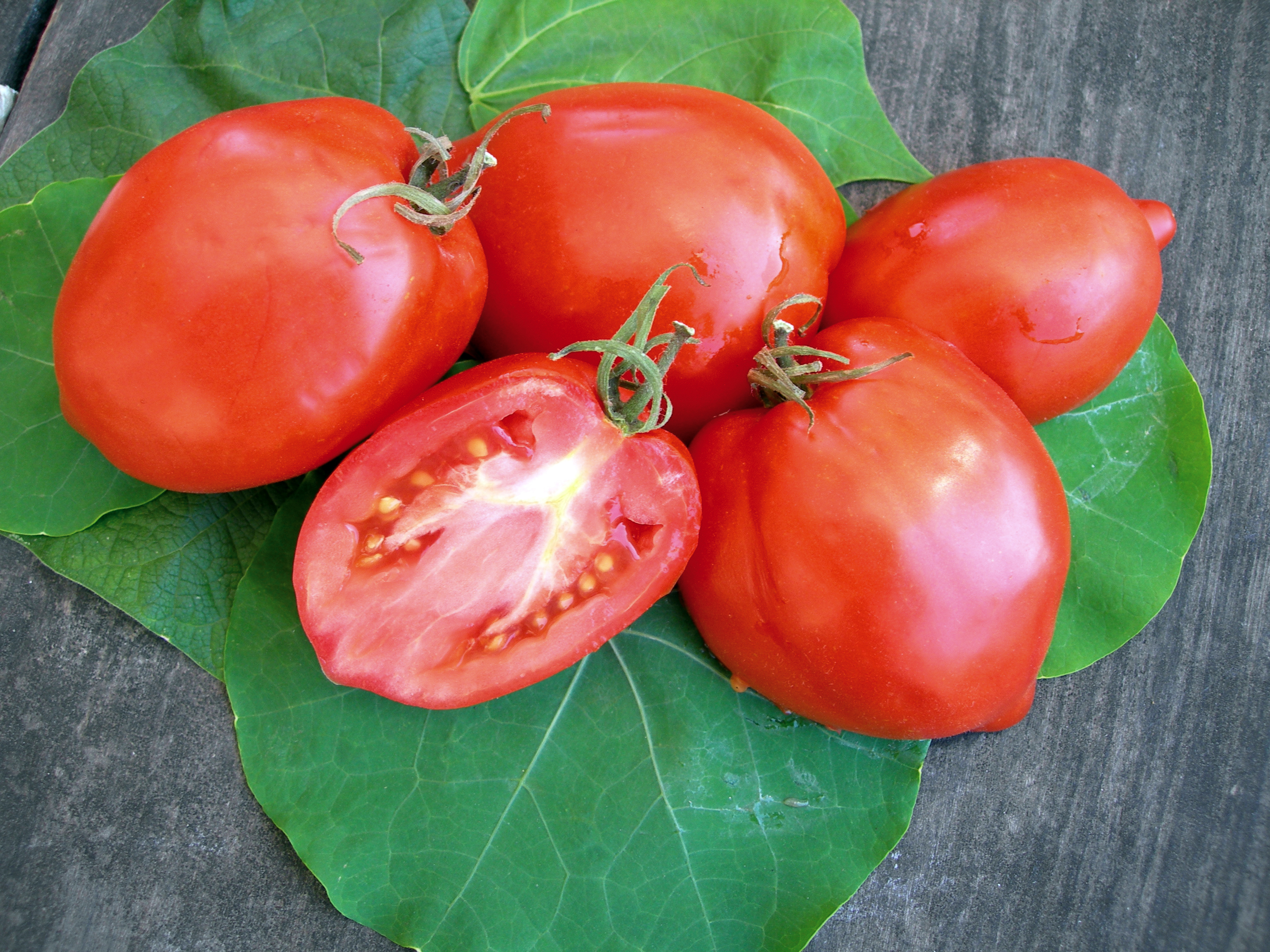 Amish Paste tomatoes