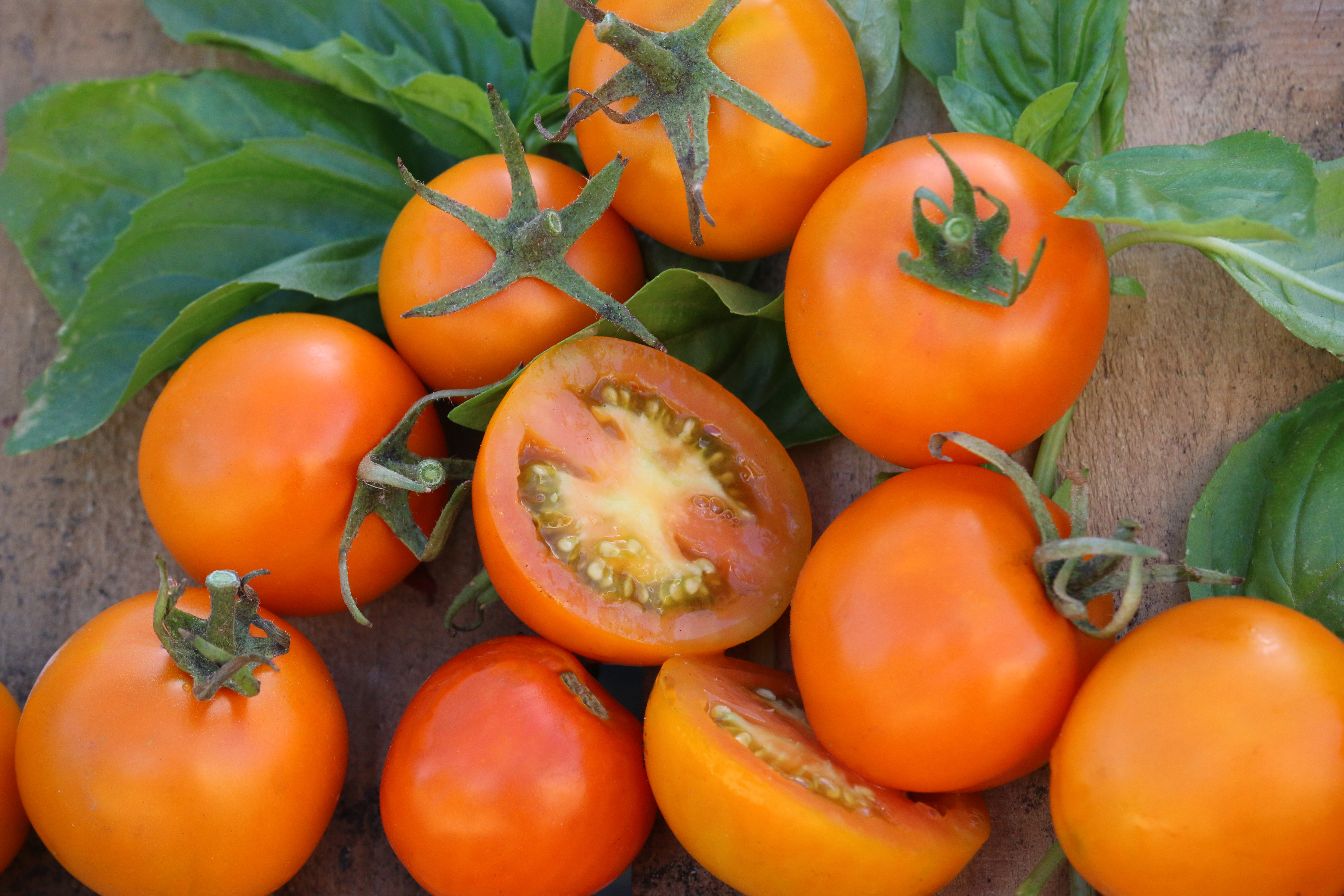 Jaune Flamme tomato