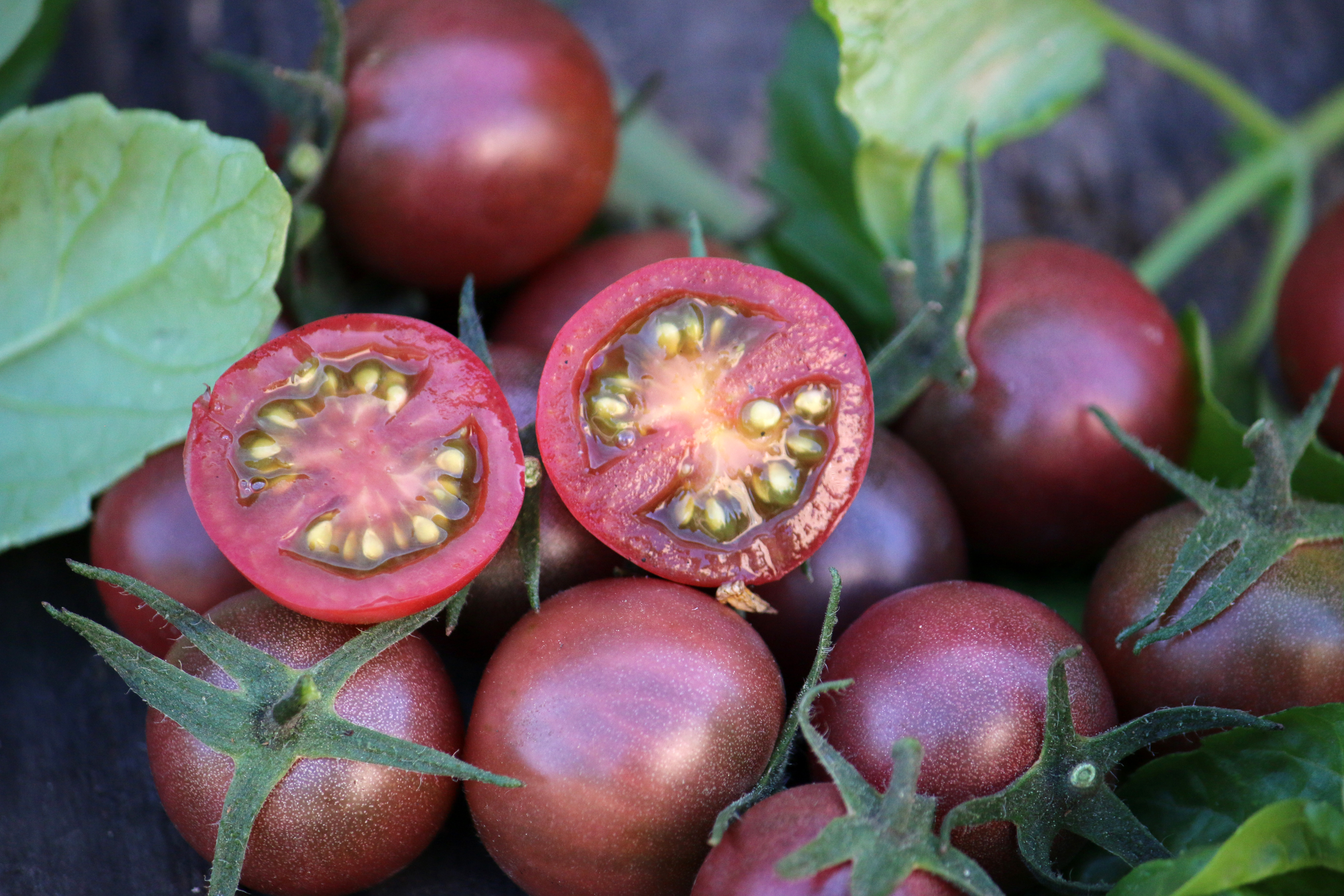 Black Cherry tomato