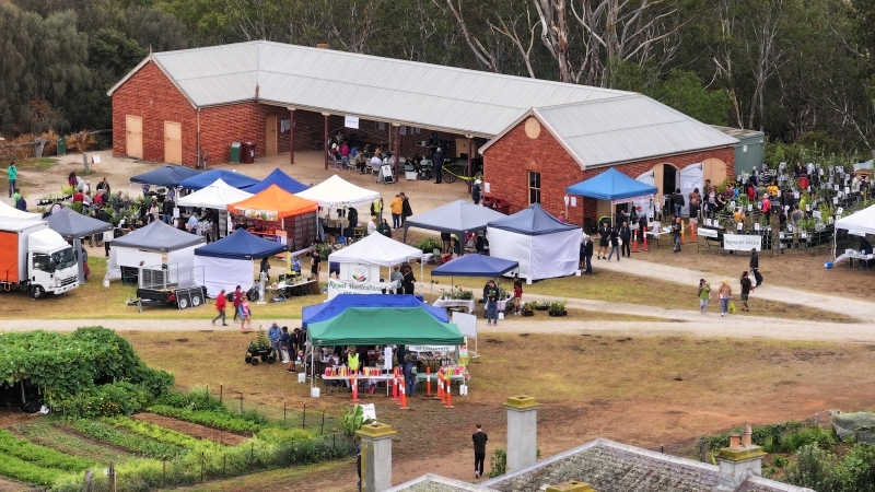 An aerial view of a festival at the orchard