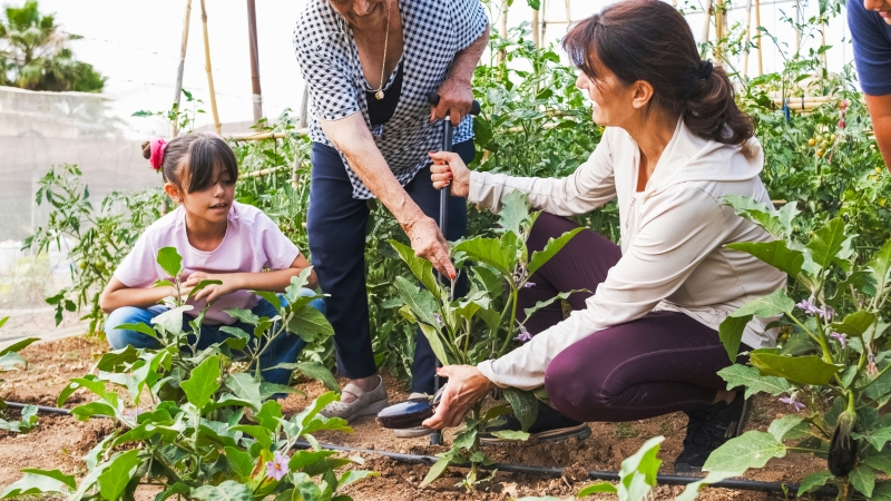 A woman gardens in a community garden
