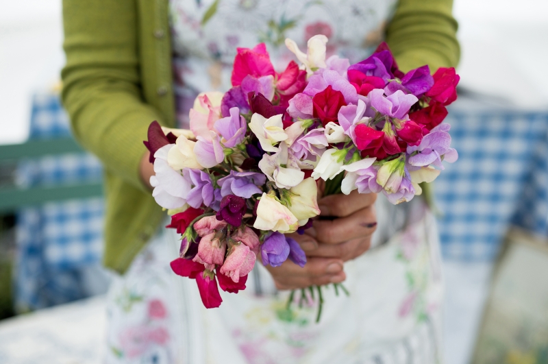 A bundle of posy sweet peas
