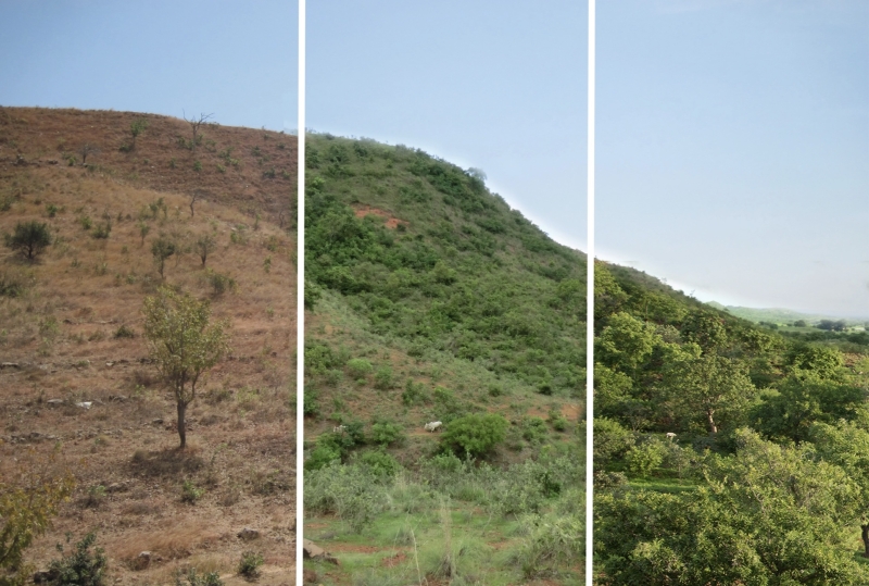 A side-by-side comparison showing the same hillside changing from brown and dry to lush and green