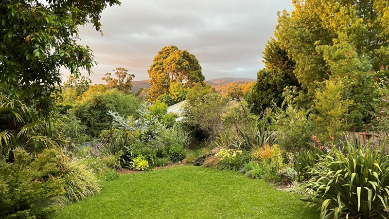 A garden