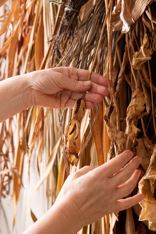 Hands touching dried plants