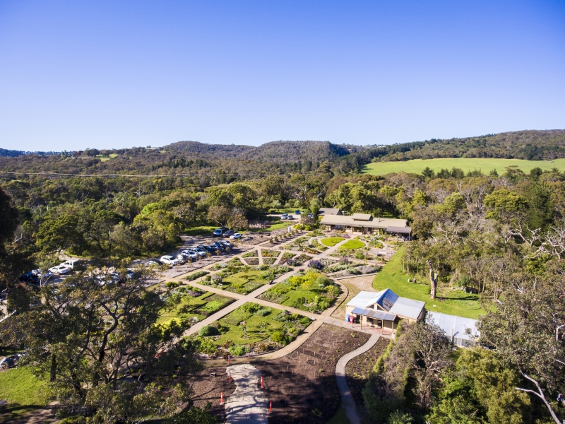 Diggers Living Plant Library