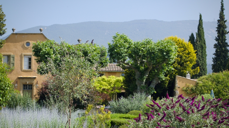 French garden