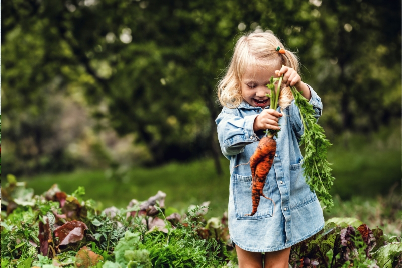 A young girl holds a carrot