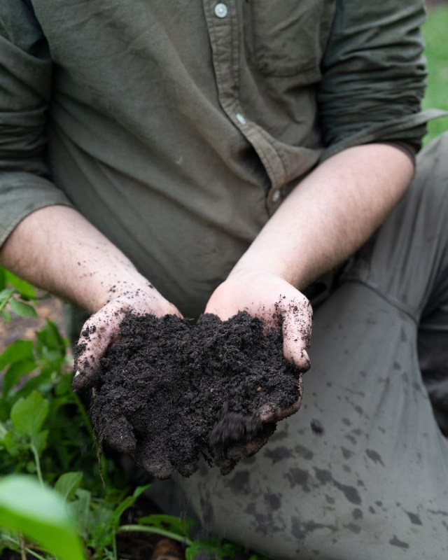 Two hands hold a pile of rich, dark brown dirt