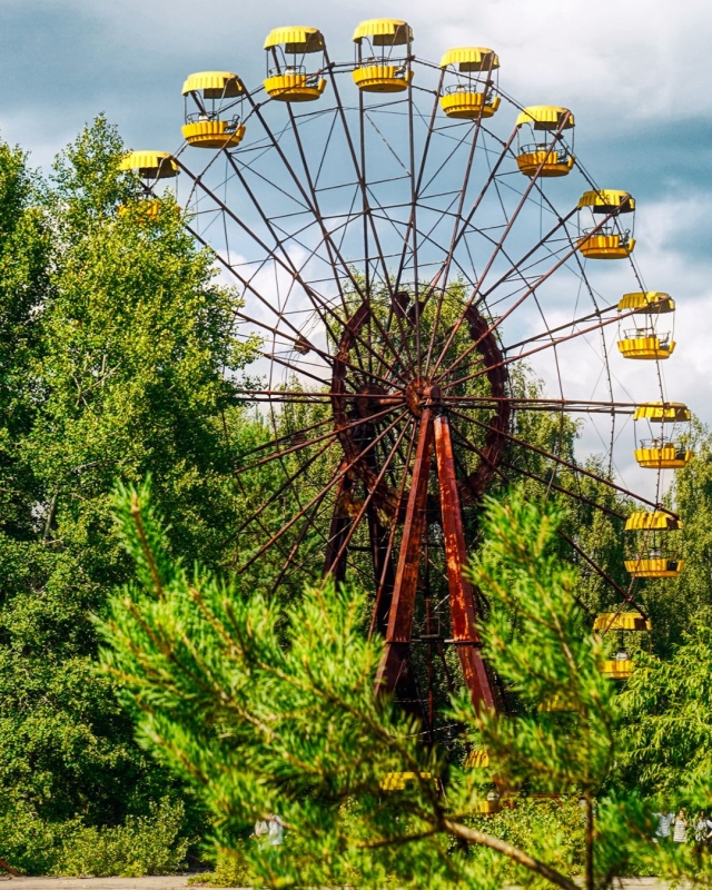 Trees grow around a ferris wheel