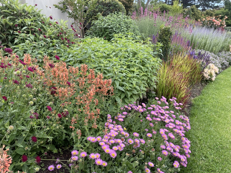 Di Johnson's garden