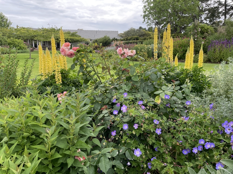 Di Johnson's garden