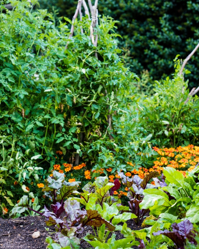 Garden of St Erth
