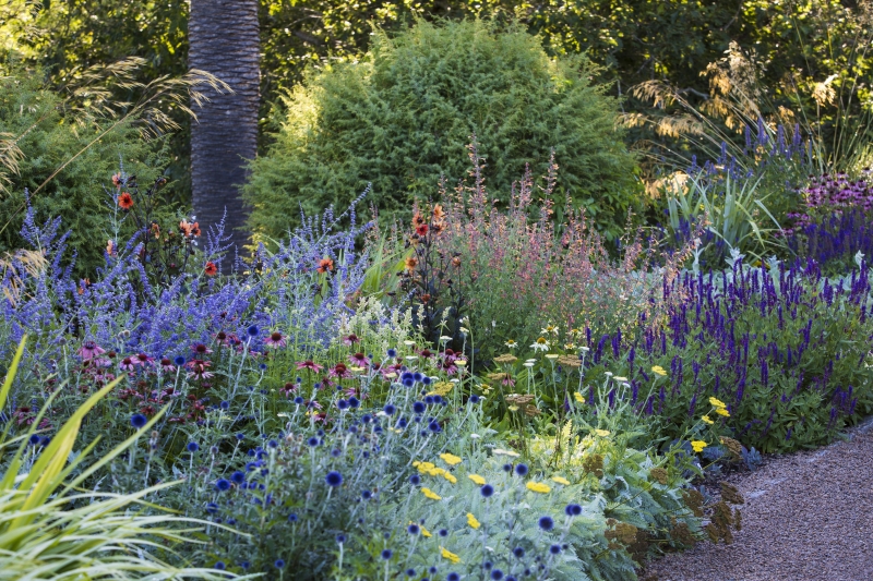 Heronswood herbaceous border
