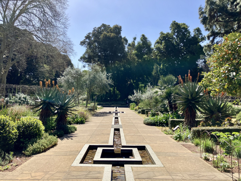 Adelaide Botanic Garden Mediterranean Garden