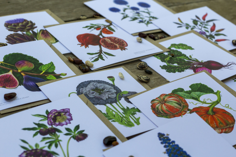 Amy Duncan cards