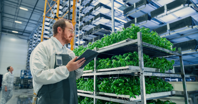 A scientist overseeing a vertical farm