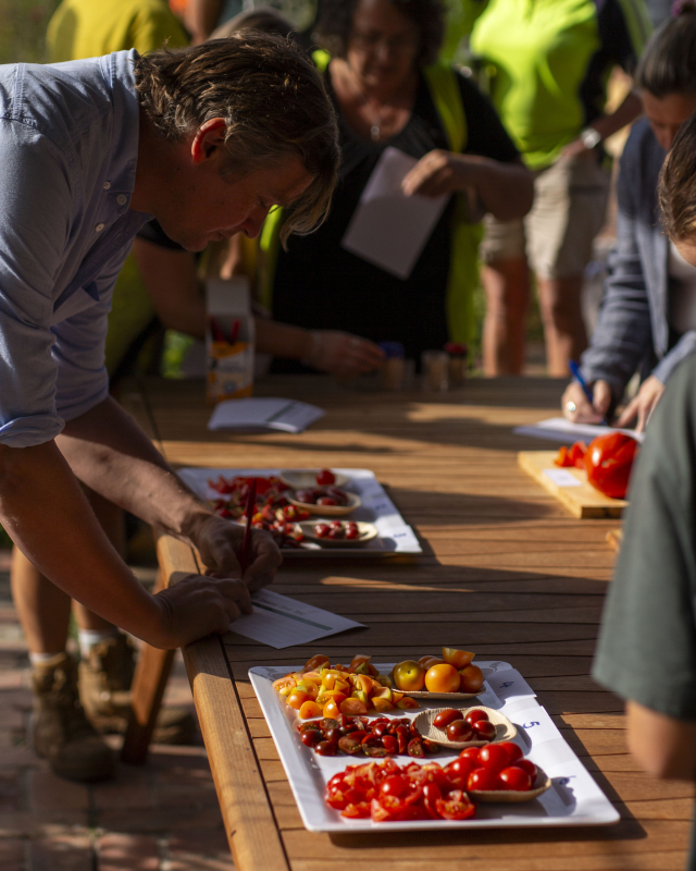 Tomato Taste Test 2026