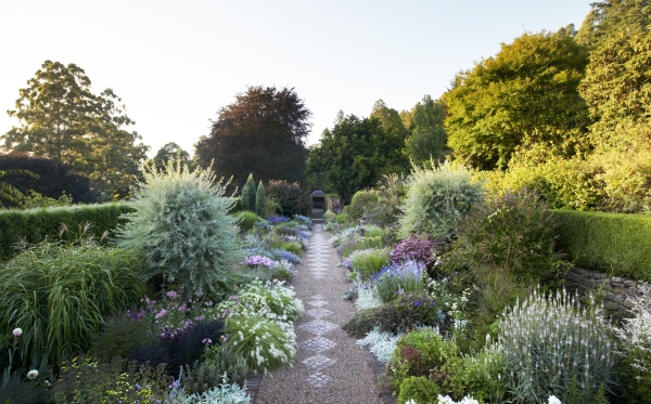 A flowering border at Cloudehill