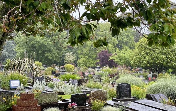 Te Henui Cemetery
