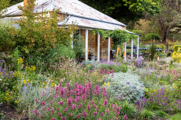 A blossoming perennial border at The Garden of St Erth