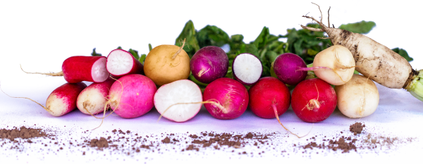 A pile of assorted radishes