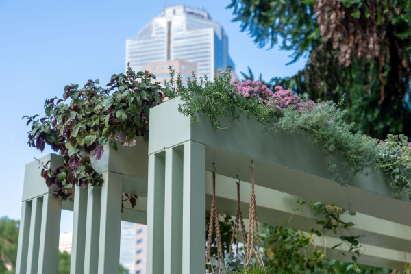MIFGS Balcony garden