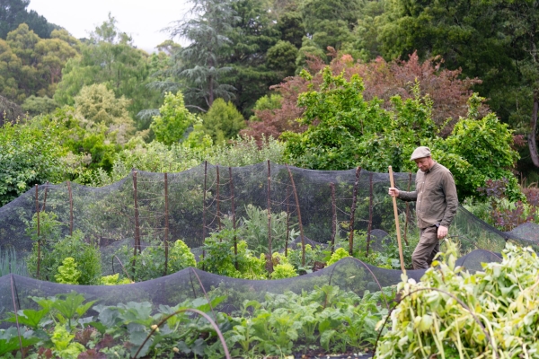 Julian walks through the Garden of St Erth