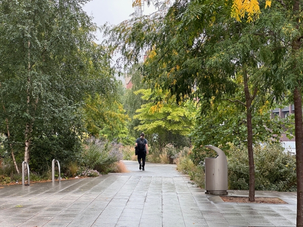 A city garden