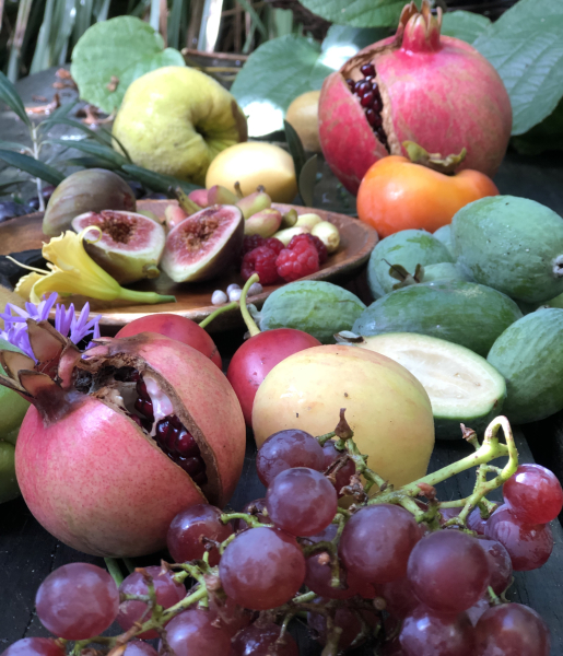 An abundant harvest of fruit