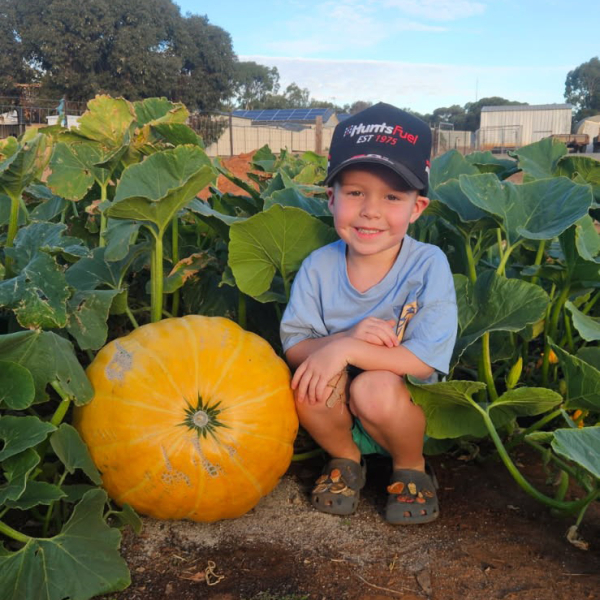 A young boy crouches beside a large pumpkin